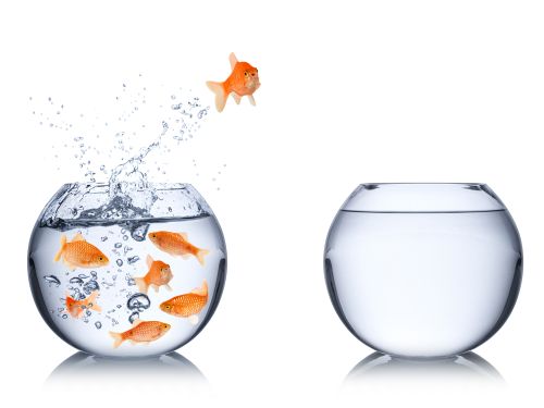 Foto: stockphoto-graf - Fotolia.com