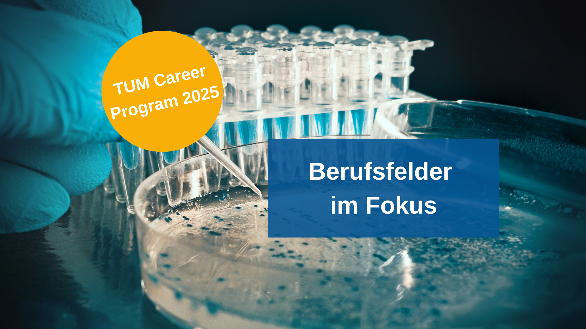 Bild: canva.com