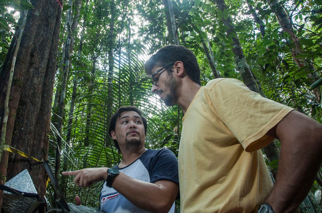 David Lapola in the yellow T-shirt talks to a staff member holding a laptop in the jungle.