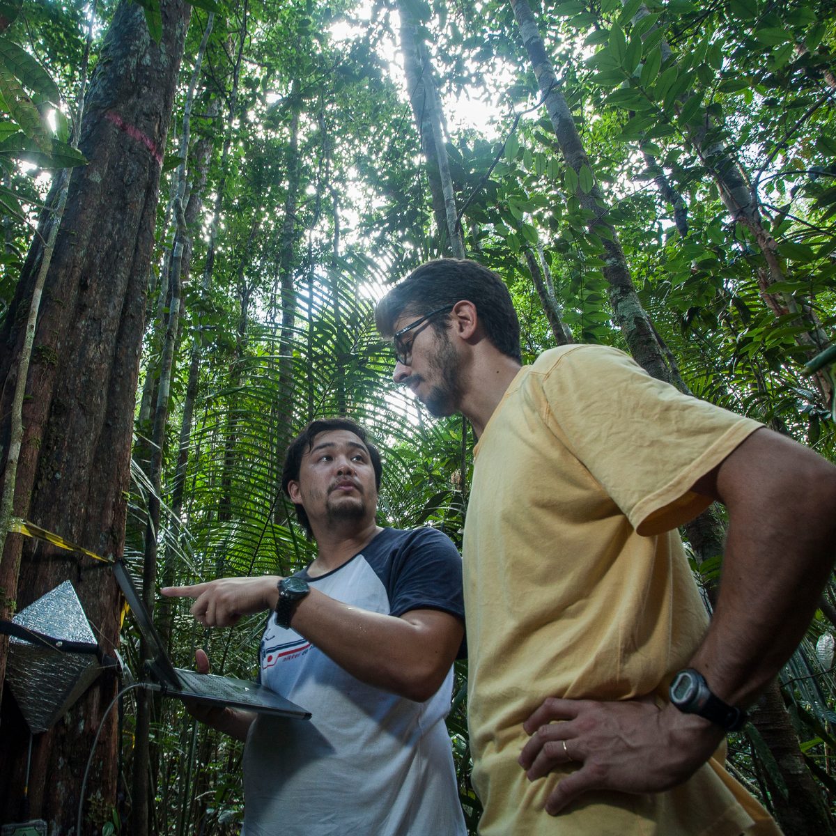 David Lapola in the yellow T-shirt talks to a staff member holding a laptop in the jungle.