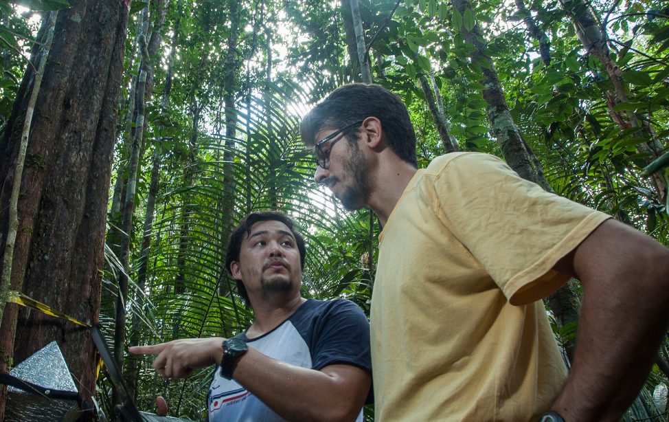 David Lapola in the yellow T-shirt talks to a staff member holding a laptop in the jungle.