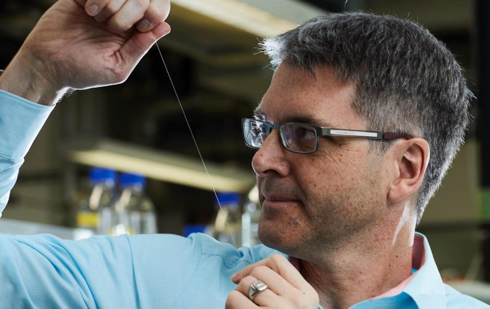 TUM Alumni Thomas Scheibel with artificial spider silk.